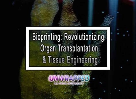 Xenotransplantation Biomaterial: Revolutionizing Organ Transplantation Through Advanced Materials Science?